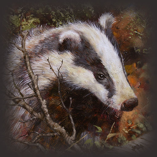 Badger