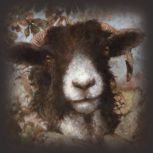 Autumn Ewe