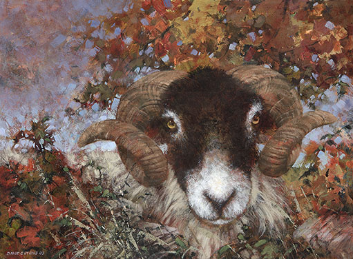 Autumn Tup