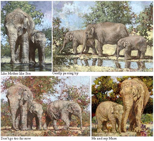 Elephants 1